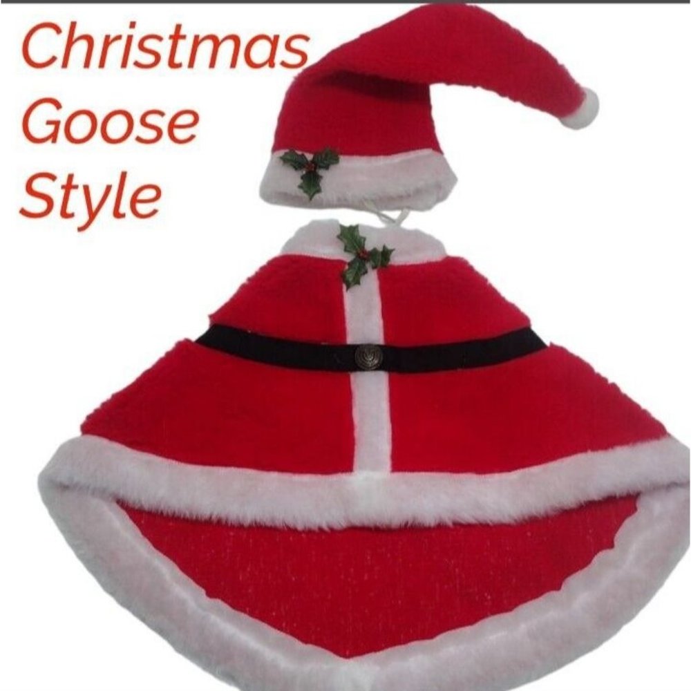 Christmas Goose Santa Holiday Hat Dress Outdoor Decor Goose Outfit